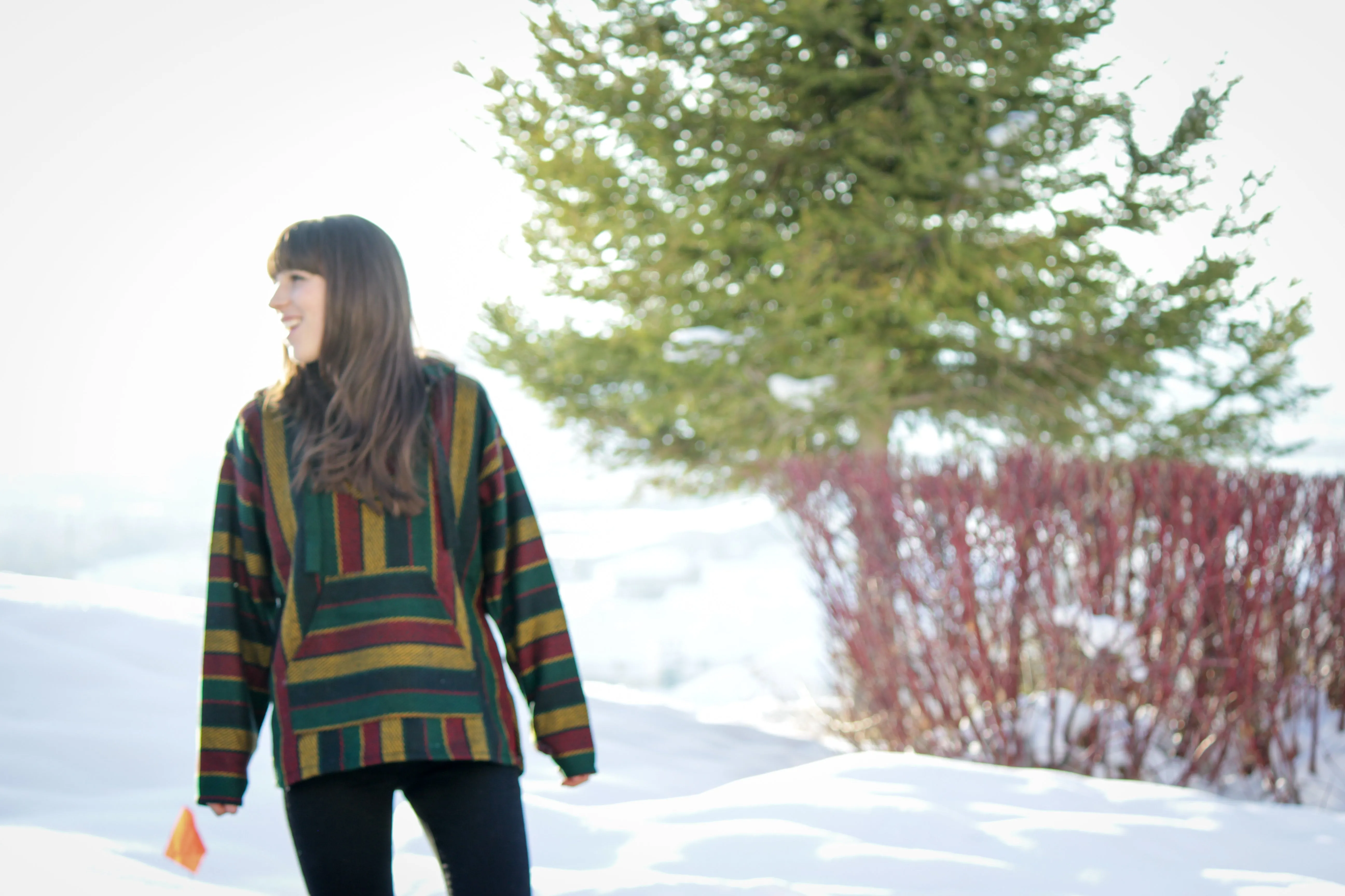 Baja Hoodie Premium Rasta