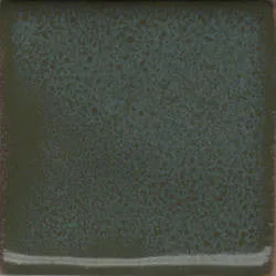 Cactus Green 004