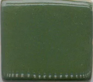 Cactus Green 004