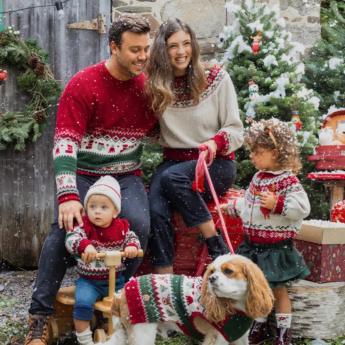 Chandail en tricot à motifs des fêtes, adulte || Knit sweater with holiday all over print, adult