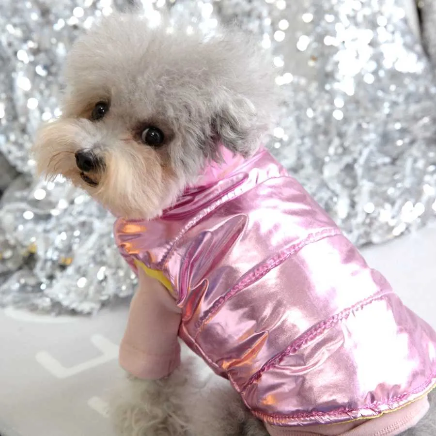 Chihuahua Sweater. Waterproof Puppy Winter Coat -- Warm Dog Vest Collection