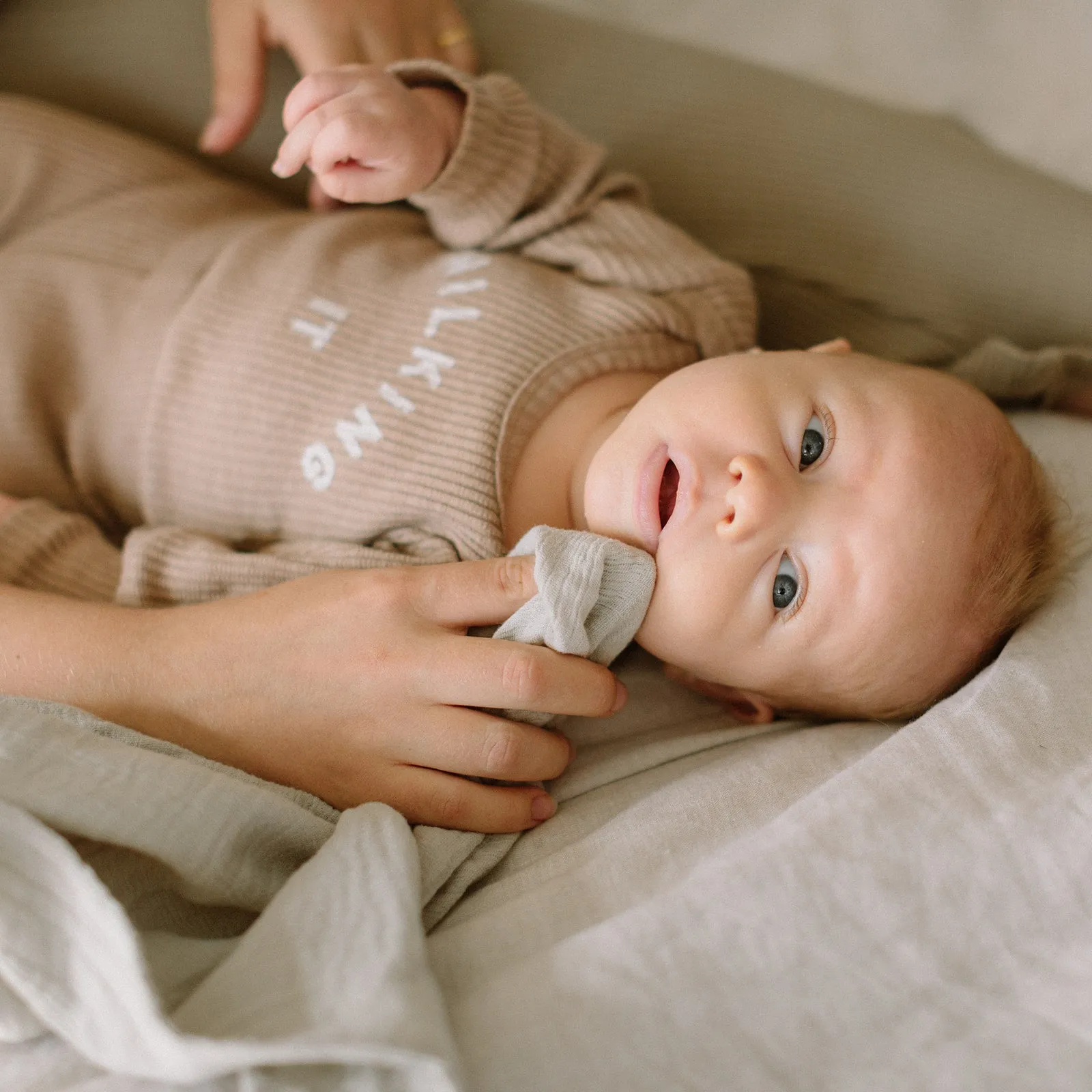 CLAUDE AND CO 'MILKING IT'® CHOCOLATE RIB BODYSUIT