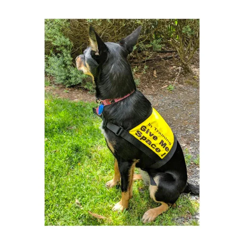 'Give Me Space' Anxious Nervous Dog Vest
