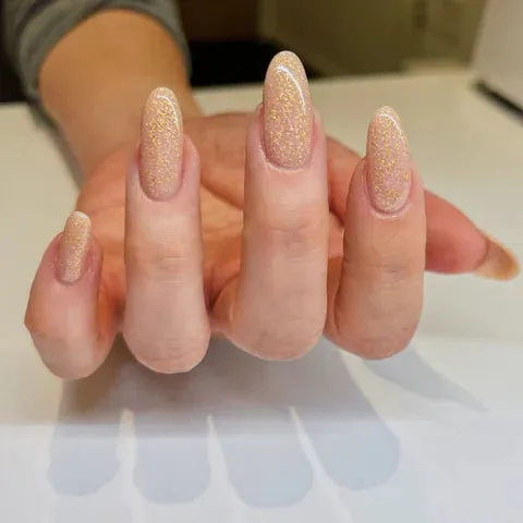 NT BASE-16 Champagne Base 10g