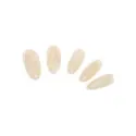 NT BASE-23 Chai Latte Base 10g