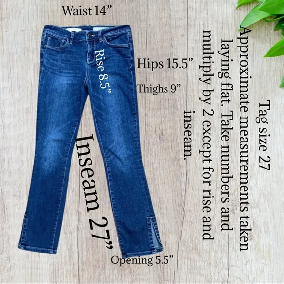 Pilcro and the Letterpress STET Slim Jeans