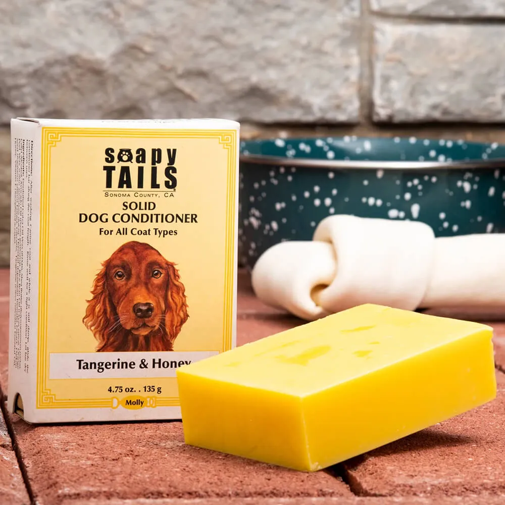 Soapy Tails Solid Dog Conditioner - Tangerine & Honey