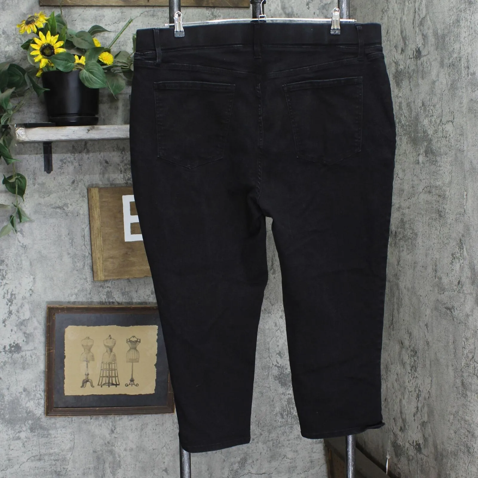 Terra & Sky Womens Stretch Pull On Denim Jeans 166fbd30cc4b7c Black 2X