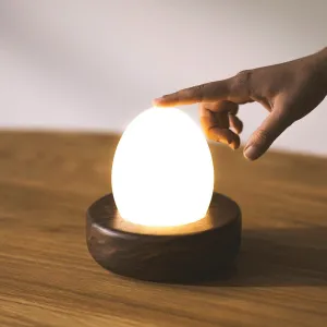Touch Control Portable Hardwood Egg Lamp