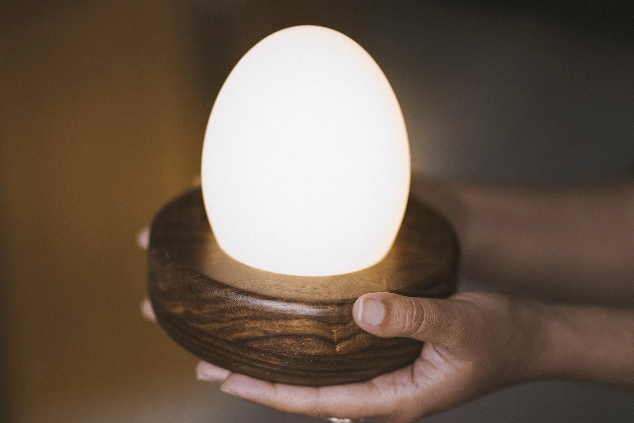 Touch Control Portable Hardwood Egg Lamp