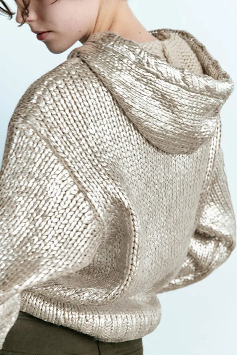 WJ0271 Metallic Hoodie Sweater
