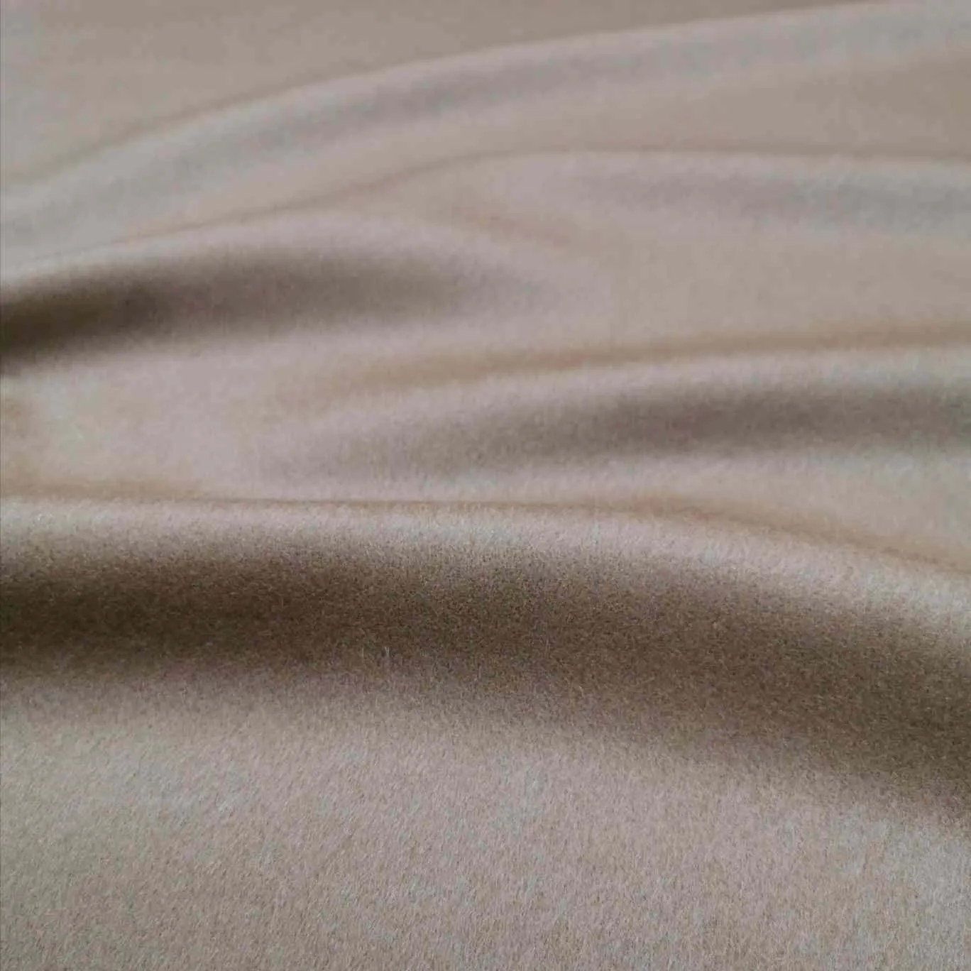 Wool, Cashmere Look in Camel